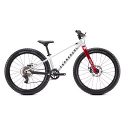 Bicicleta infantil...
