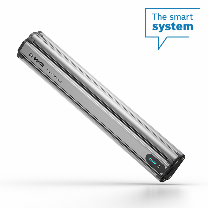 Batería bosch PowerTube 600 (BBP3860)