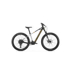 Bicicleta Eléctrica...