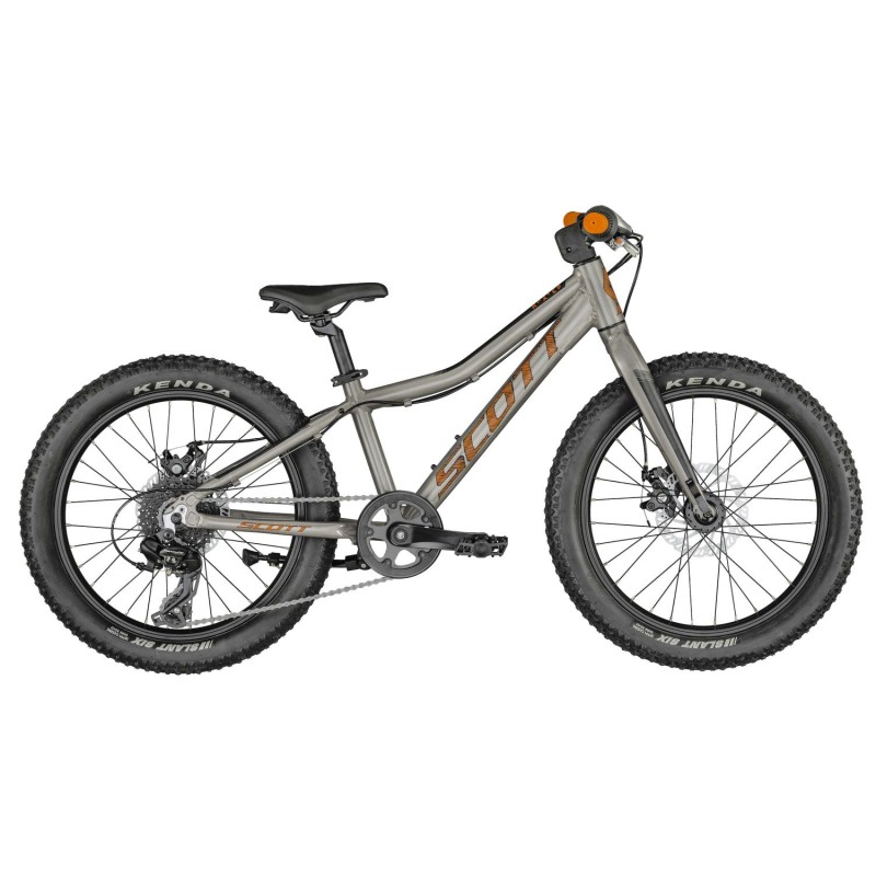 BICICLETA SCOTT ROXTER 20 SILVER